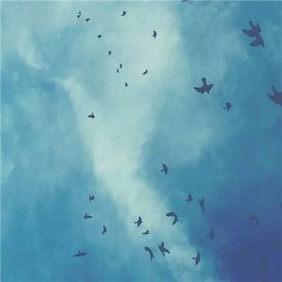 江南足球app下载