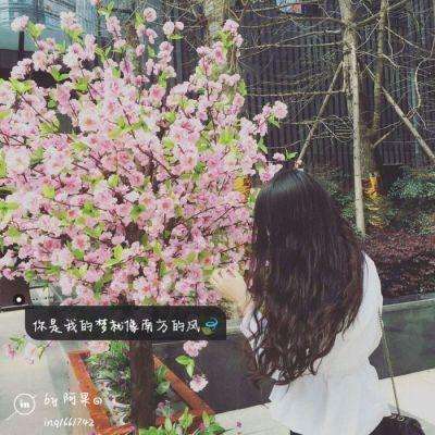 爱游戏APP·官方登录入口(ayx)手机app下载